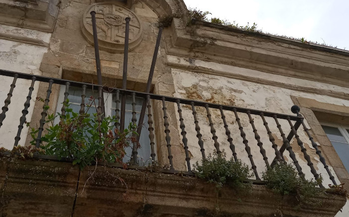 Un chío de primavera. Xa é primavera en Ribadeo